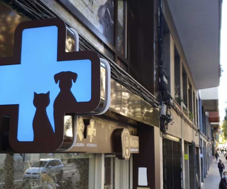 Consultorio Veterinario en Mexico